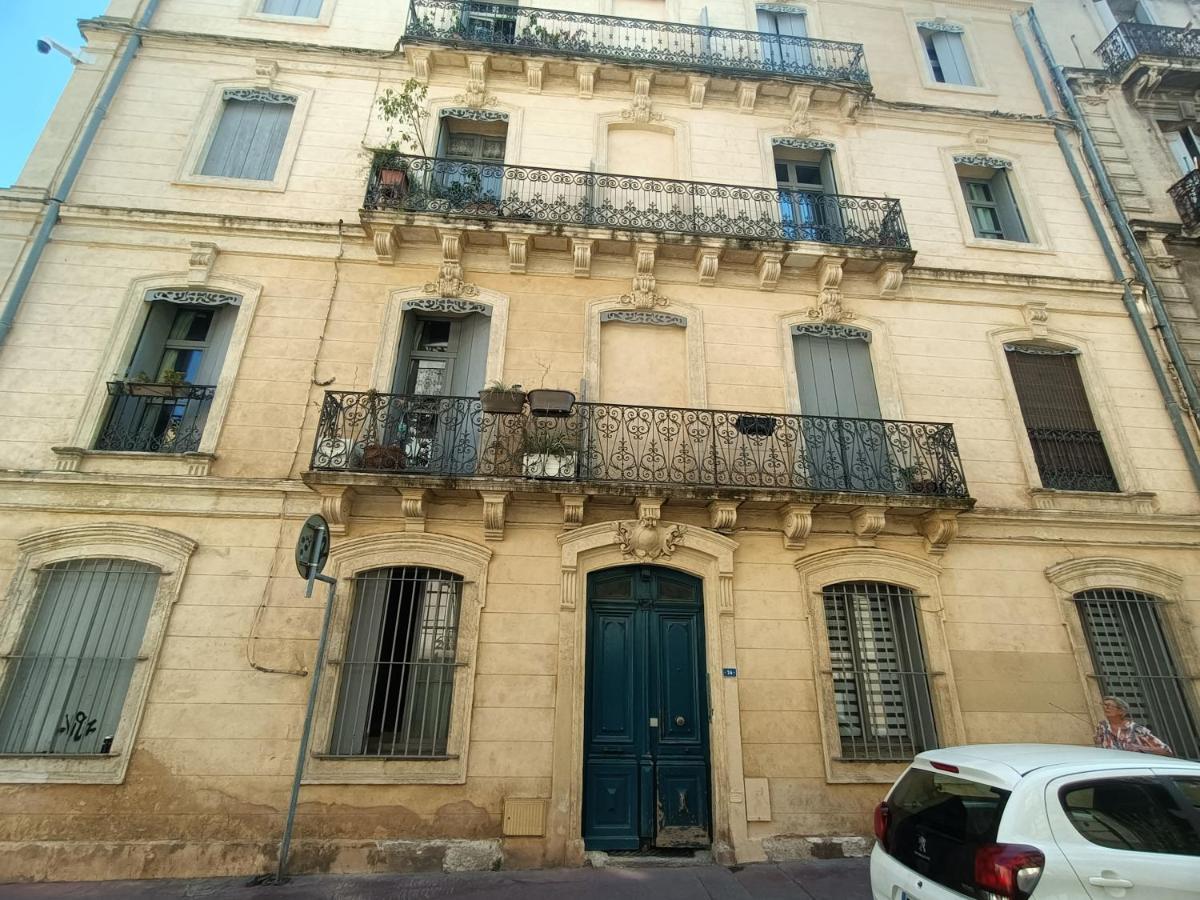 Spacieux T3 Place Comedie Gare Saint Roch Montpellier Eksteriør billede